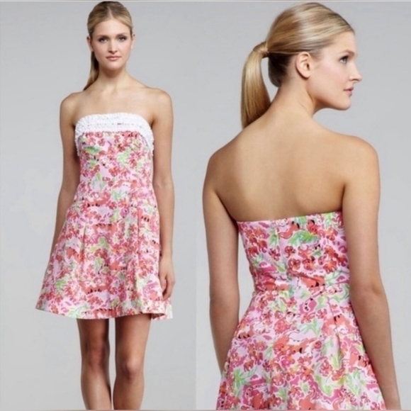 Lilly Pulitzer Ferra Call Me Kitty Cat Dress Size 4 Small Strapless Corset Mini - Picture 1 of 16